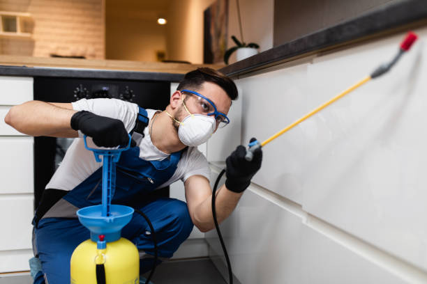 Best Mosquito Control Services  in Benton, LA