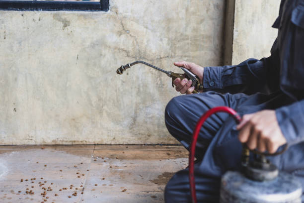 Pest Control Cost in Benton, LA