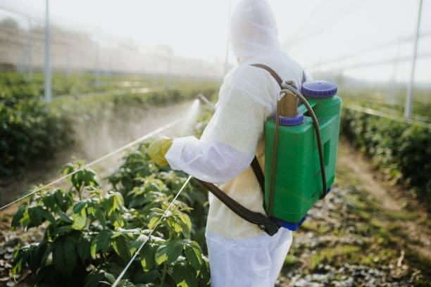 Best Residential Pest Control  in Benton, LA